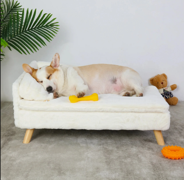 Kanapa dla zwierząt — podniesiony kątowy design