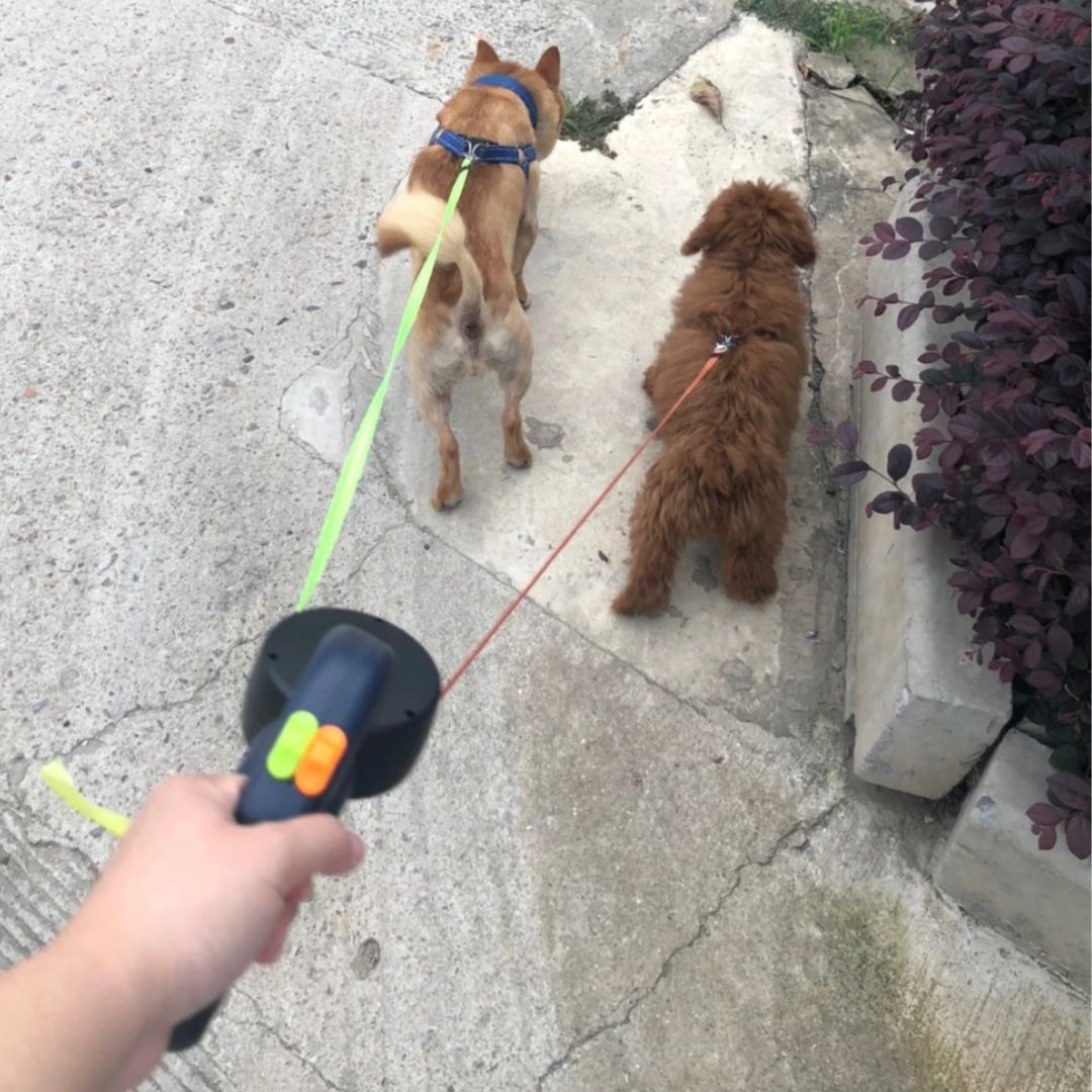 Smycz zwijana dla psów – z lampką LED i dystrybutorem torebek