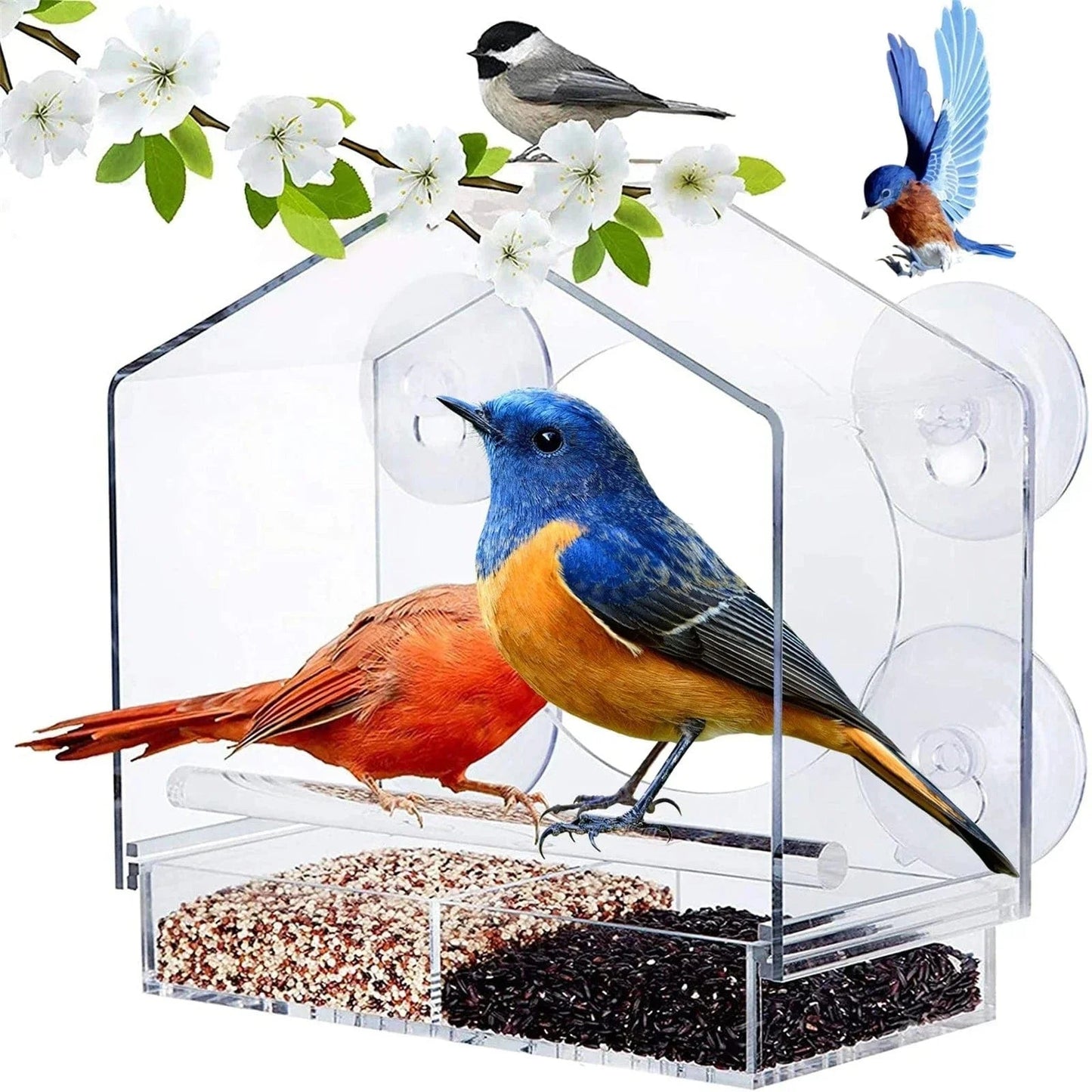 Mangeoire Transparent - Nourrissez Et Observez Les Oiseaux Depuis Votre Fenêtre