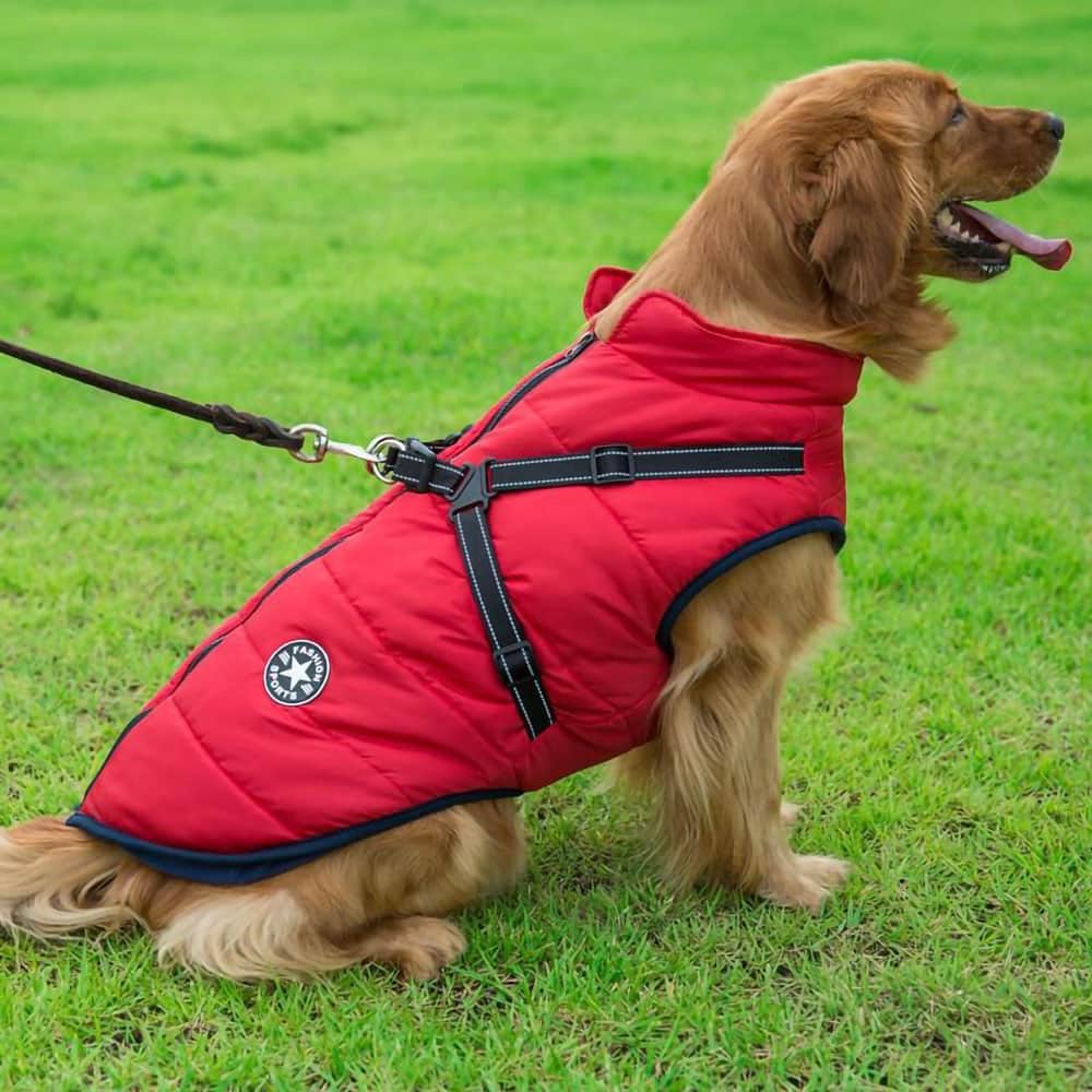 Casaco Impermeável para Cão - Proteção & Estilo