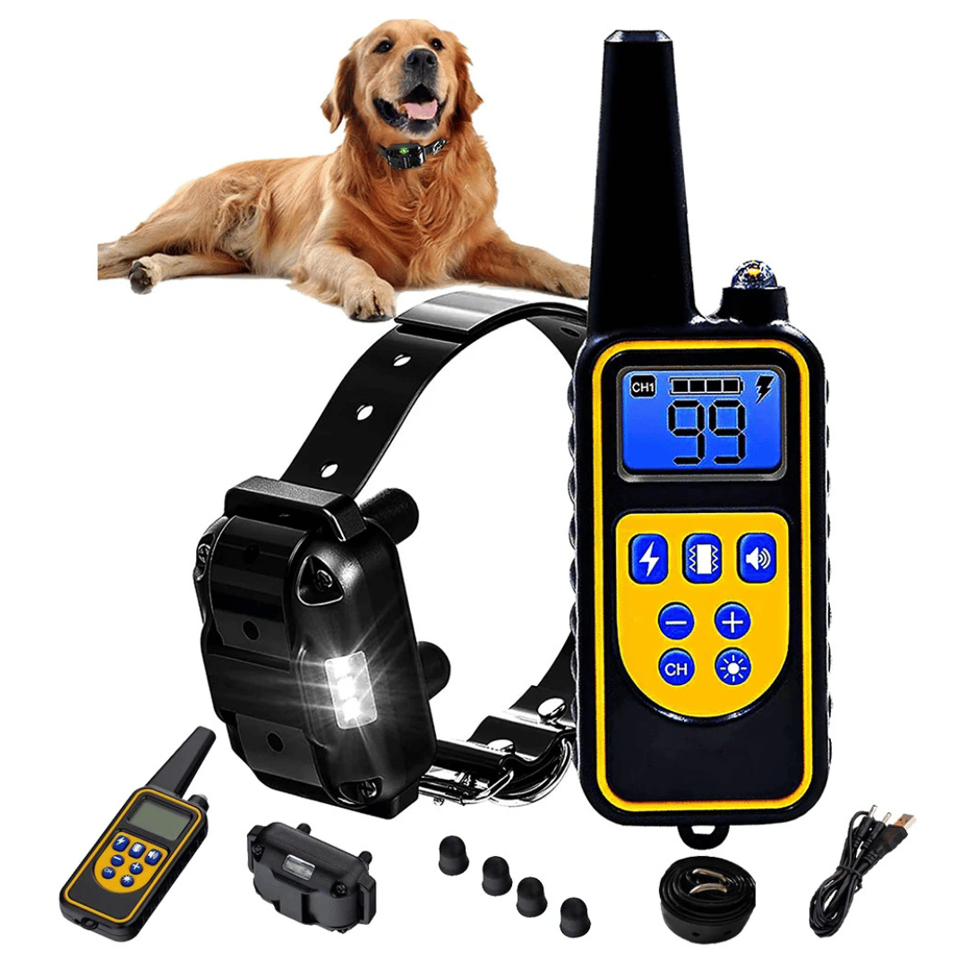 Collar de adiestramiento remoto – Alcance 800 m, impermeable y recargable