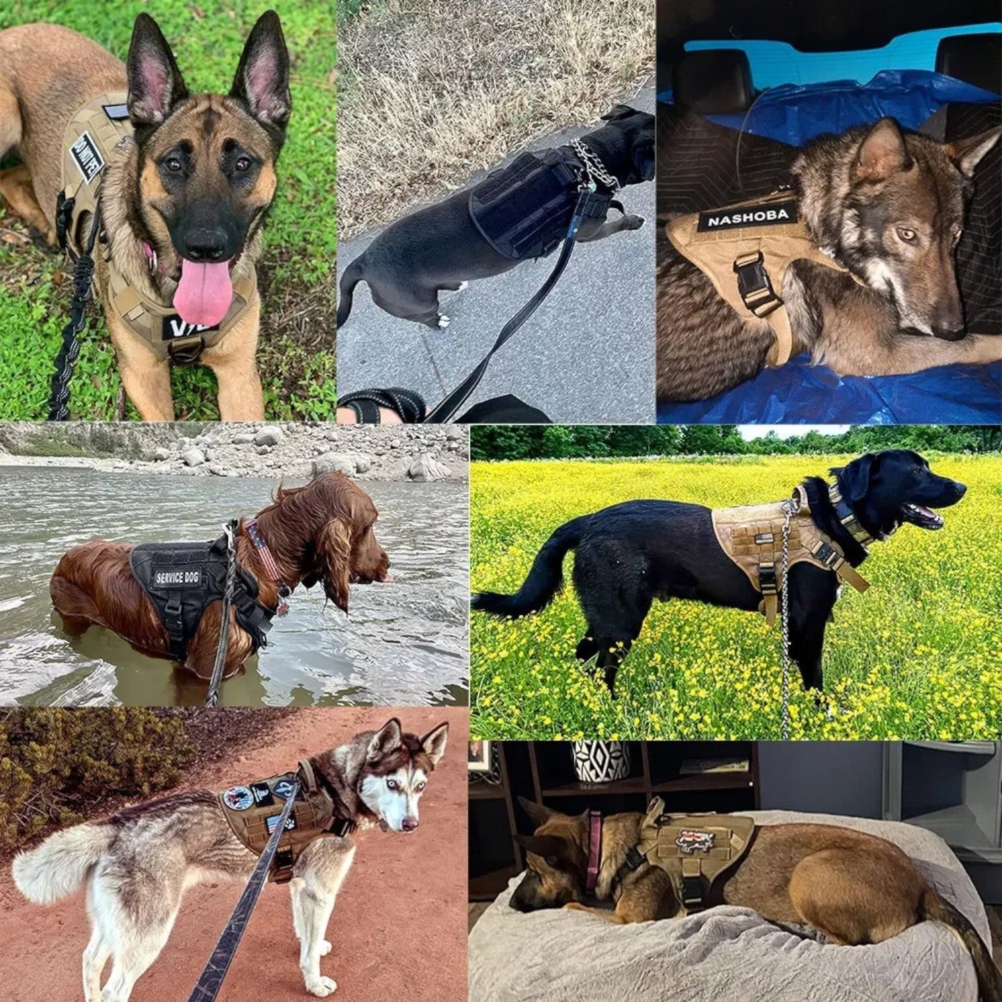 Arnês Ajustável Para Cão – Robustez E Controlo