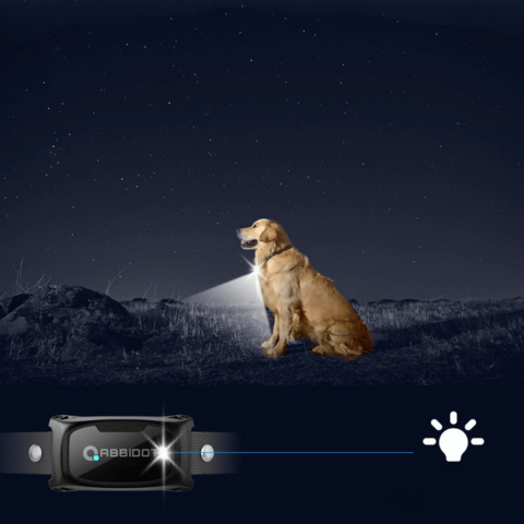 Dressurhalsbånd for hund – LED-fjernkontroll og rekkevidde 1000 m