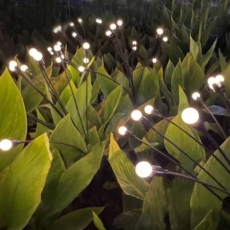 מנורות LED לוציולות – אנרגיה סולארית – אווירה קסומה לגינה שלכם