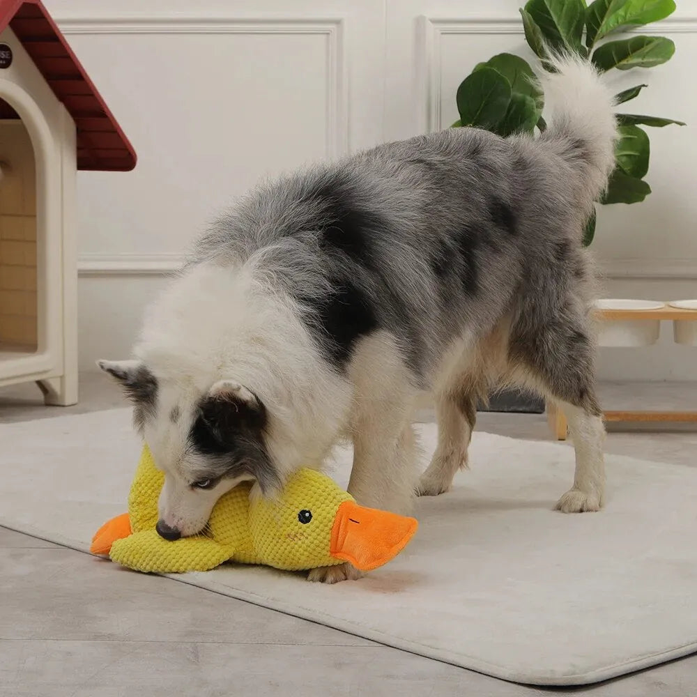 Beroligende Andelek for Hund – Lekekamerat og Avslapningspartner