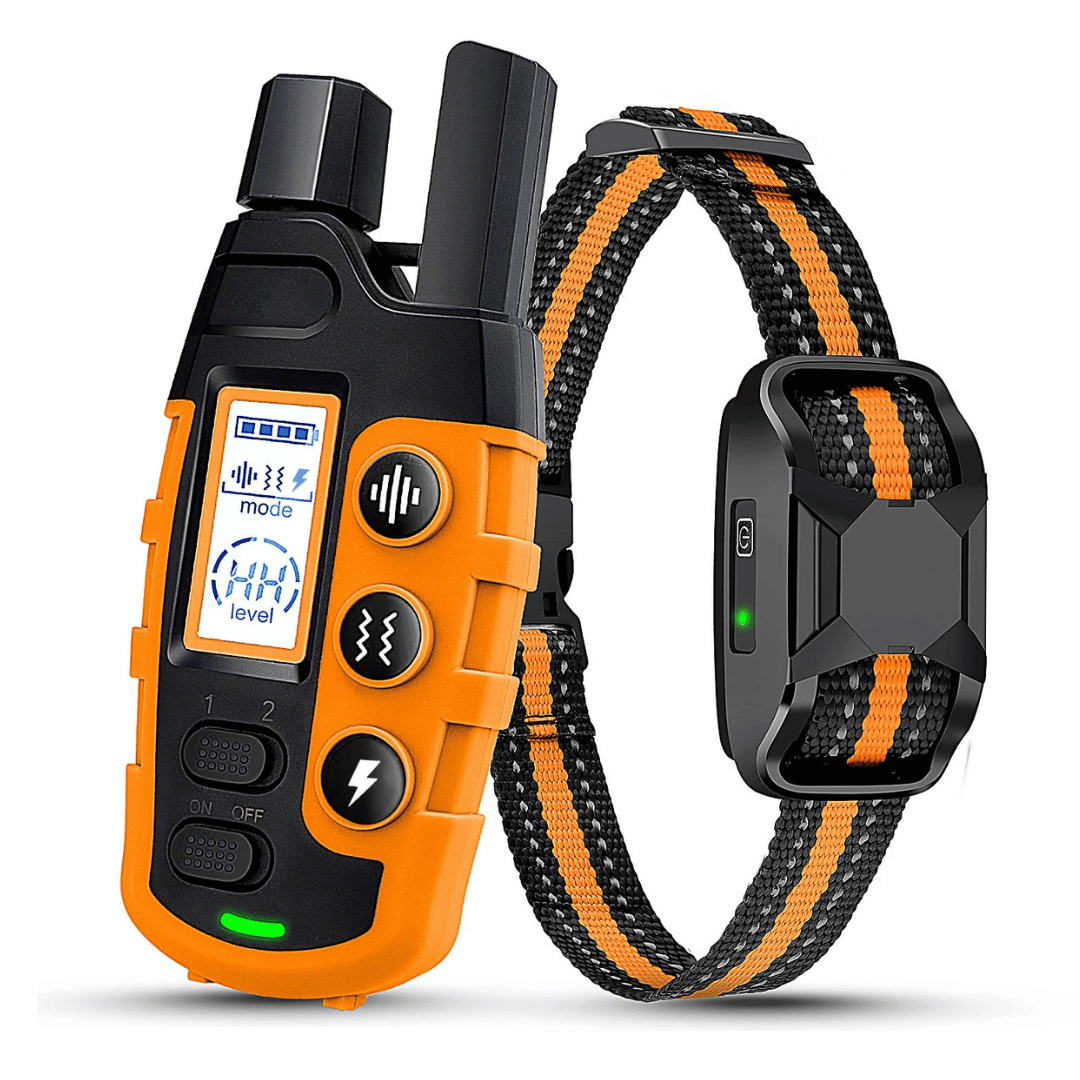 Collier De Dressage Télécommandé – Étanche, Rechargeable Et Portée 1000 m