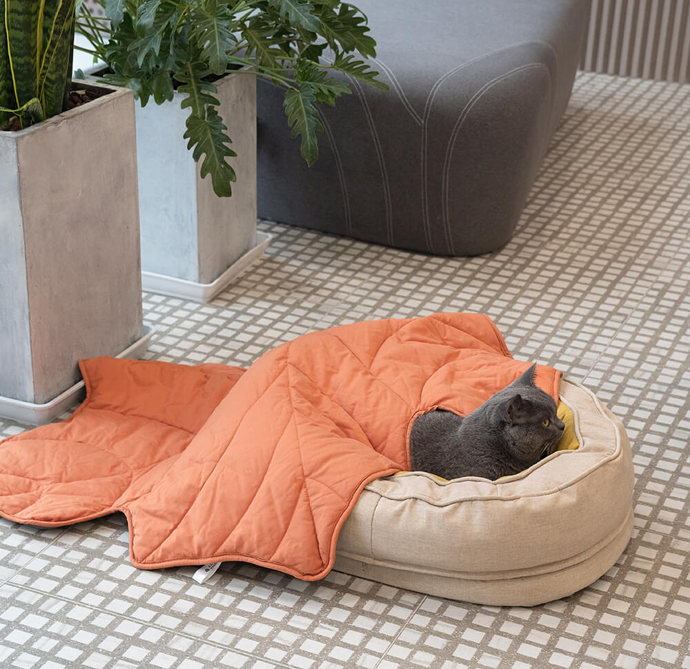 Hundebett in Donutform – Komfort und Weichheit 