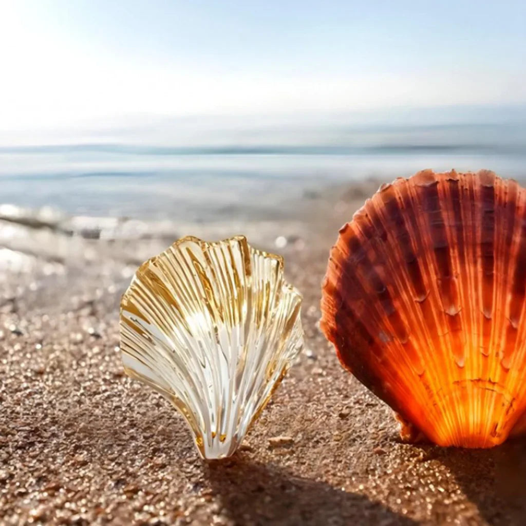 Aplique de Parede Concha – Iluminação Elegante e Marinha 