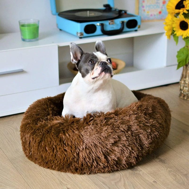Ultraweiches Beruhigungsbett für Tiere – Komfort und Ruhe 
