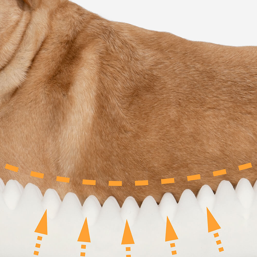 Hundebett in Donutform – Komfort und Weichheit 