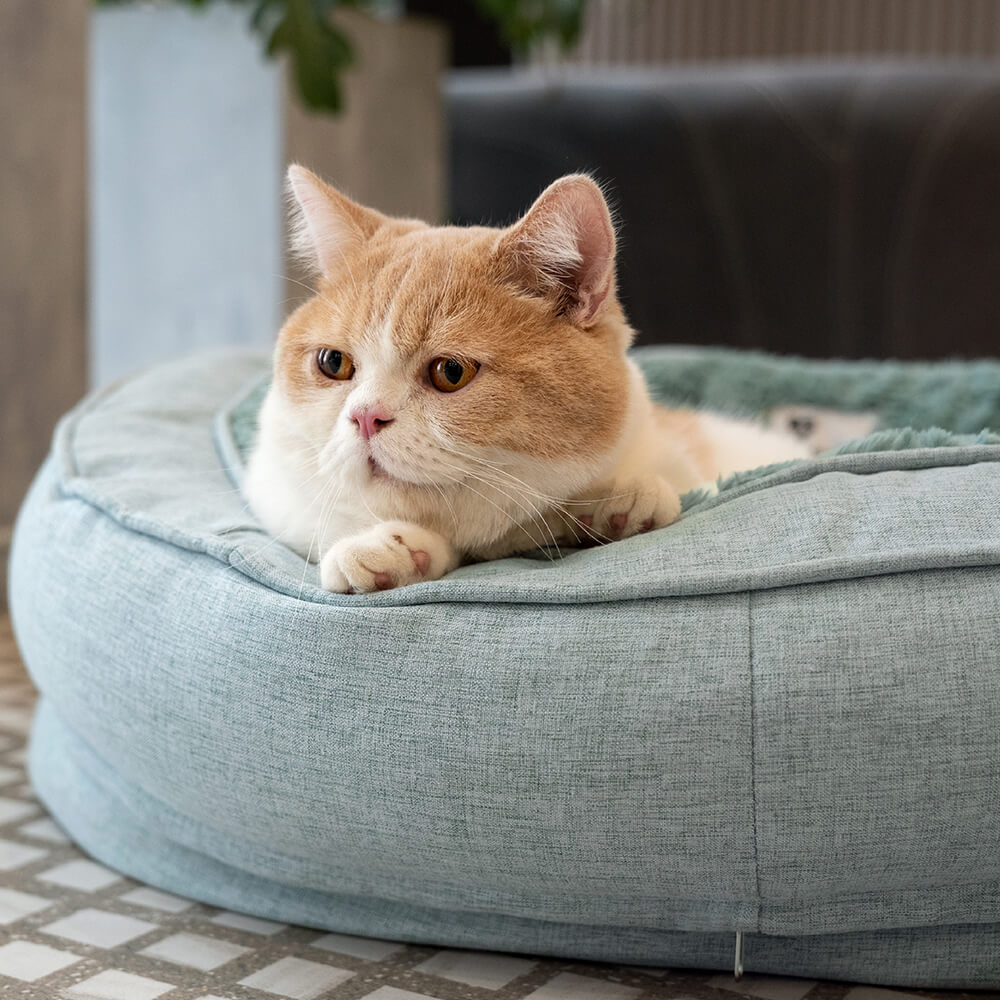 Hundebett in Donutform – Komfort und Weichheit 
