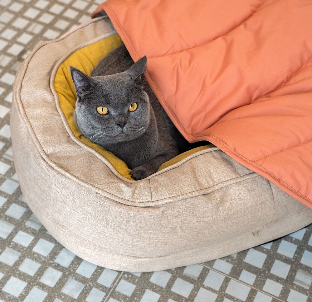 Hundebett in Donutform – Komfort und Weichheit 
