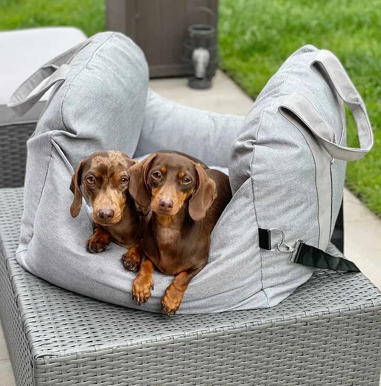 Soothing Travel Bed For Dogs - Peaceful Rest And Easy To Carry