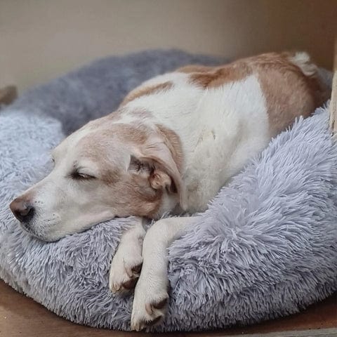 Ultraweiches Beruhigungsbett für Tiere – Komfort und Ruhe 