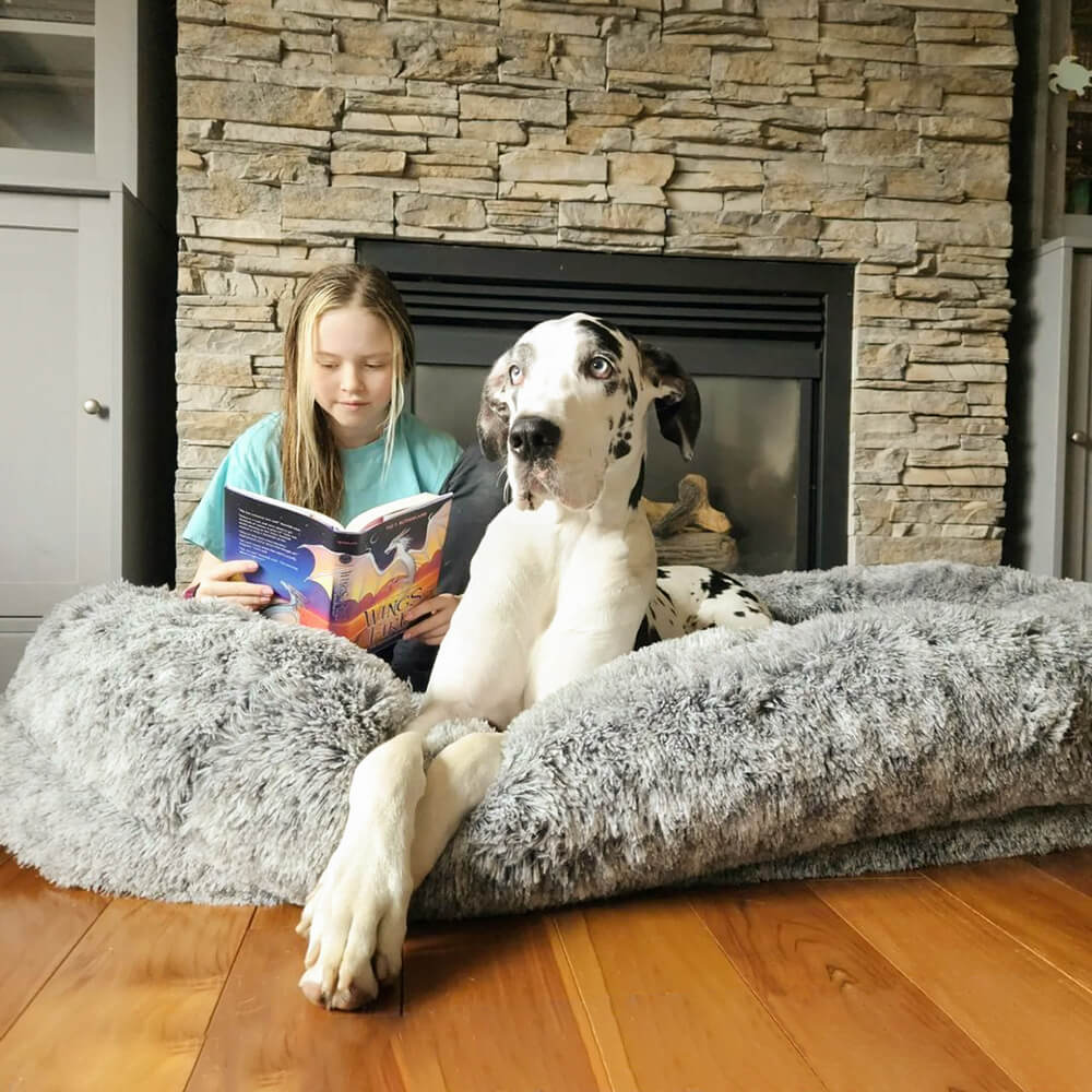 Hundebett in Donutform – Komfort und Weichheit 