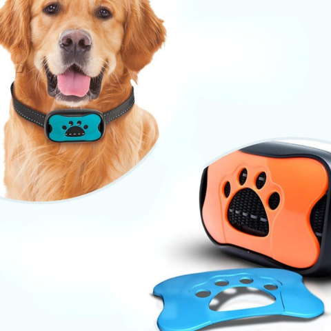 Anti-Bell-Halsband für Hunde — Sanftes und effektives Training 