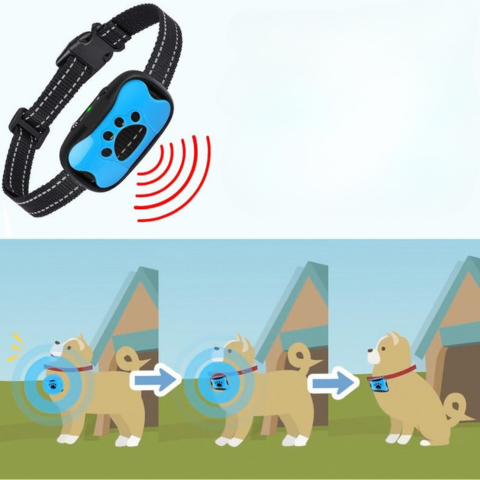 Anti-Bell-Halsband für Hunde — Sanftes und effektives Training 