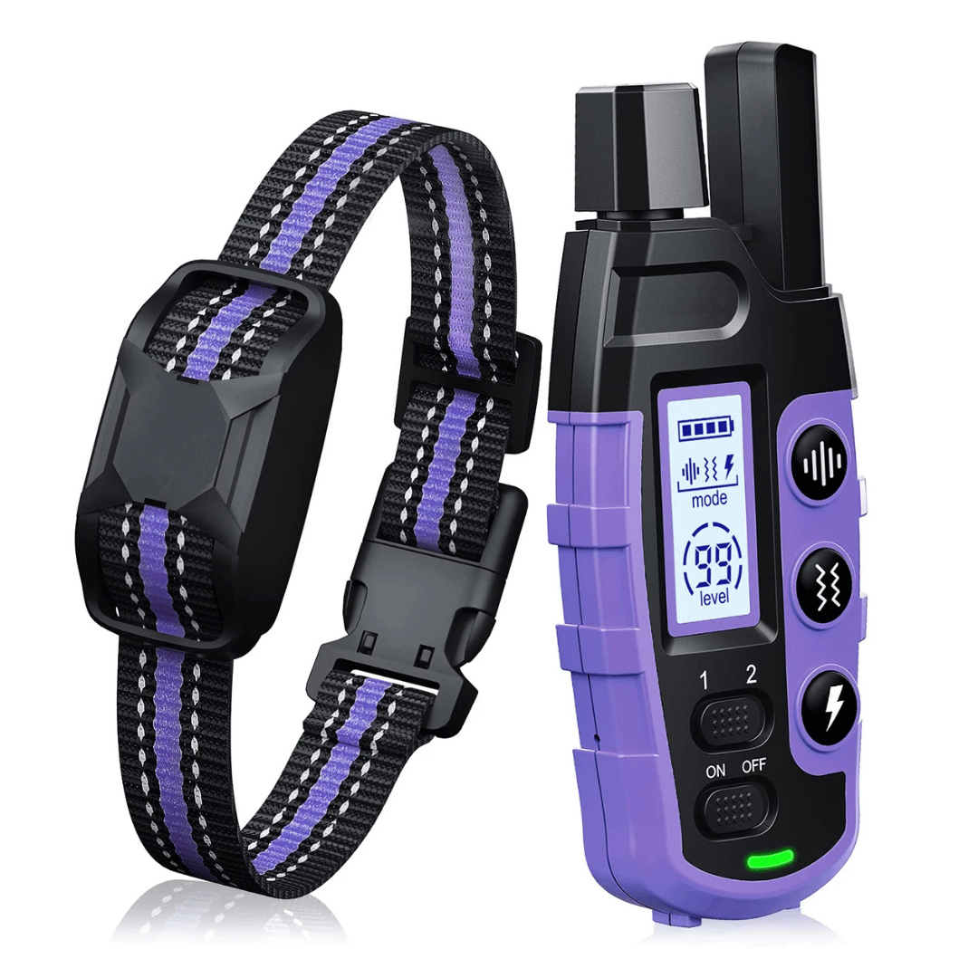 Collier De Dressage Télécommandé – Étanche, Rechargeable Et Portée 1000 m