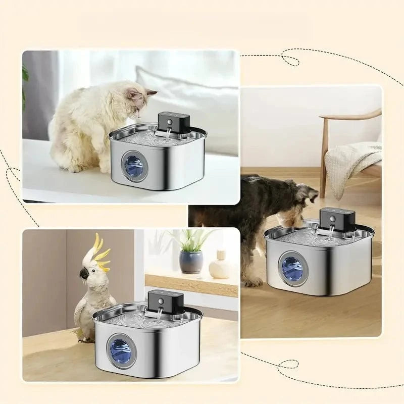 Fontaine À Eau Pour Chat Sans Fil – Hydratation Pure Et Continue