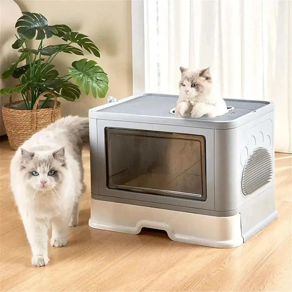Arena para Gatos – Confort y Higiene Óptimos 