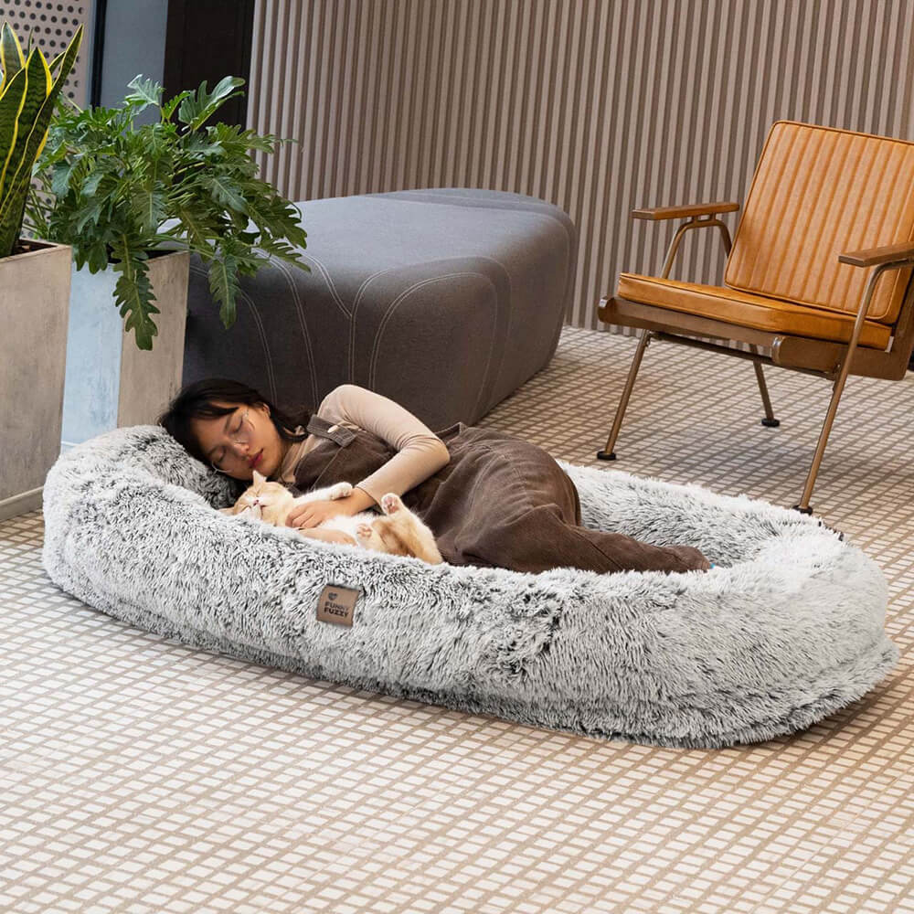 Hundebett in Donutform – Komfort und Weichheit 