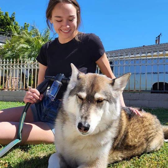 Canithower Pro - High Performance Canine Bath System